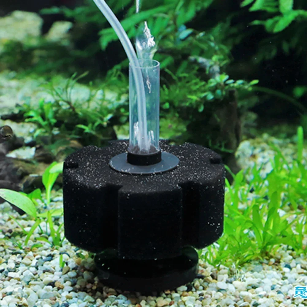 어항 필터 스펀지, 어항 에어 펌프 스키머, 생화학 스 - Aquarium Planted Filter 리뷰 및 가격