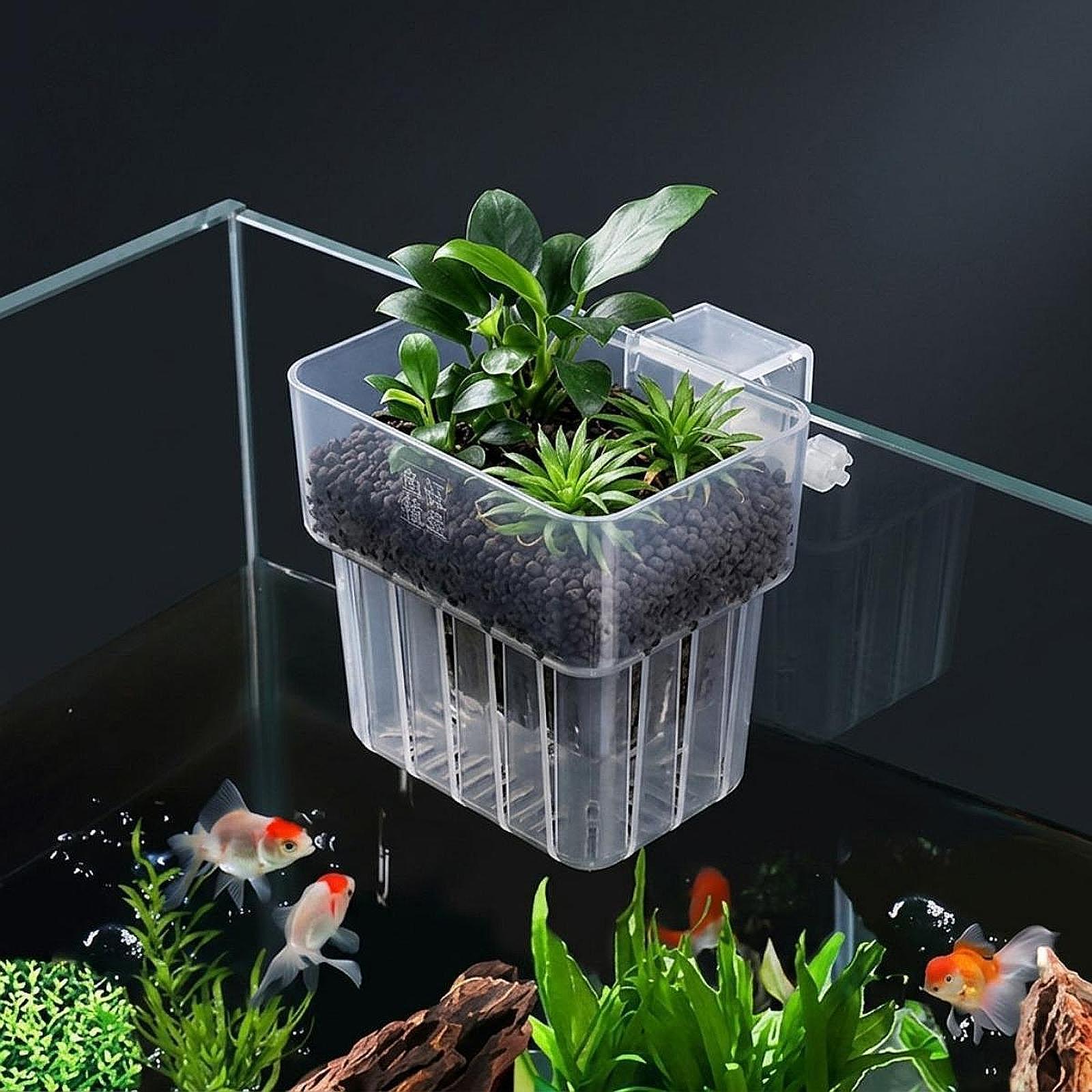 수족관 식물 홀더 조절 가능한 걸이 바구니 PP 소재  - Planted Aquarium Materials 리뷰 및 가격