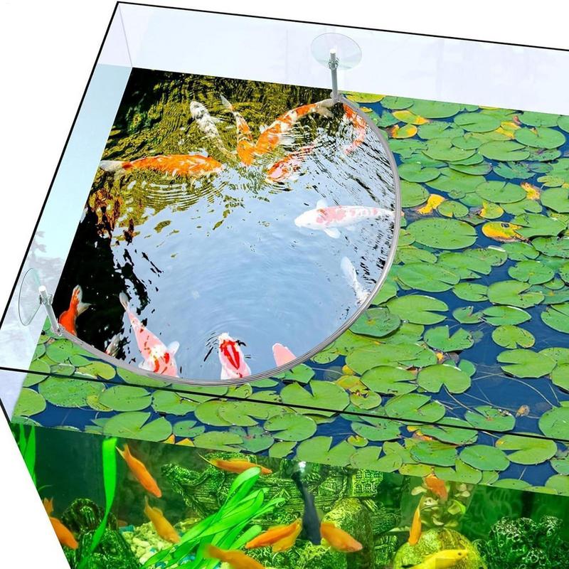 부동 식물 마구간 물고기 먹이 링 분리 및 보호 부동  - Aquarium Planted Filter 리뷰 및 가격