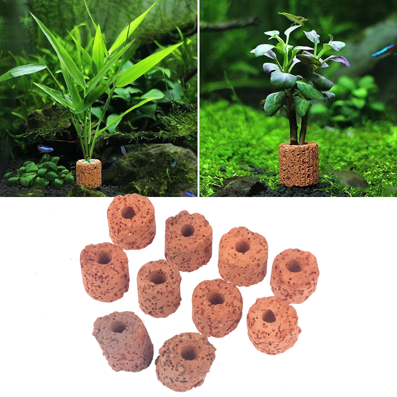10개입 식물 링 수족관 고정용 물탱크 필터 무게추 홀 - Aquarium Plant Utensils 리뷰 및 가격