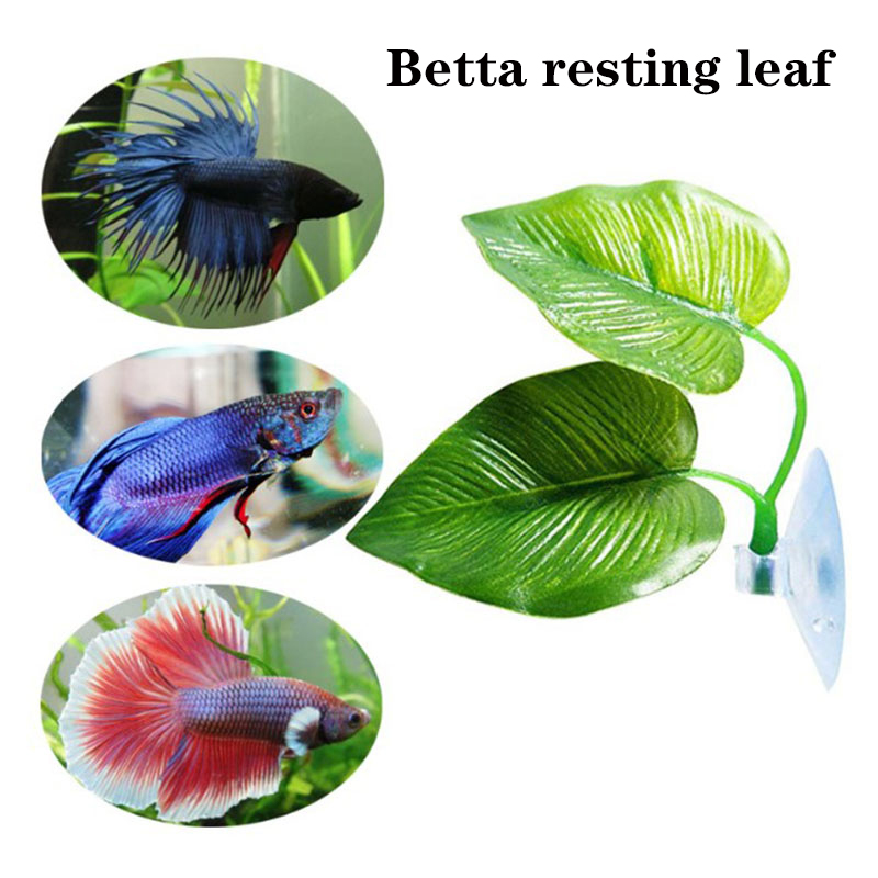 베타 물고기 휴식 수족관 잎 식물 장식 낳기용 장식 식 - Planted Aquarium Betta 리뷰 및 가격