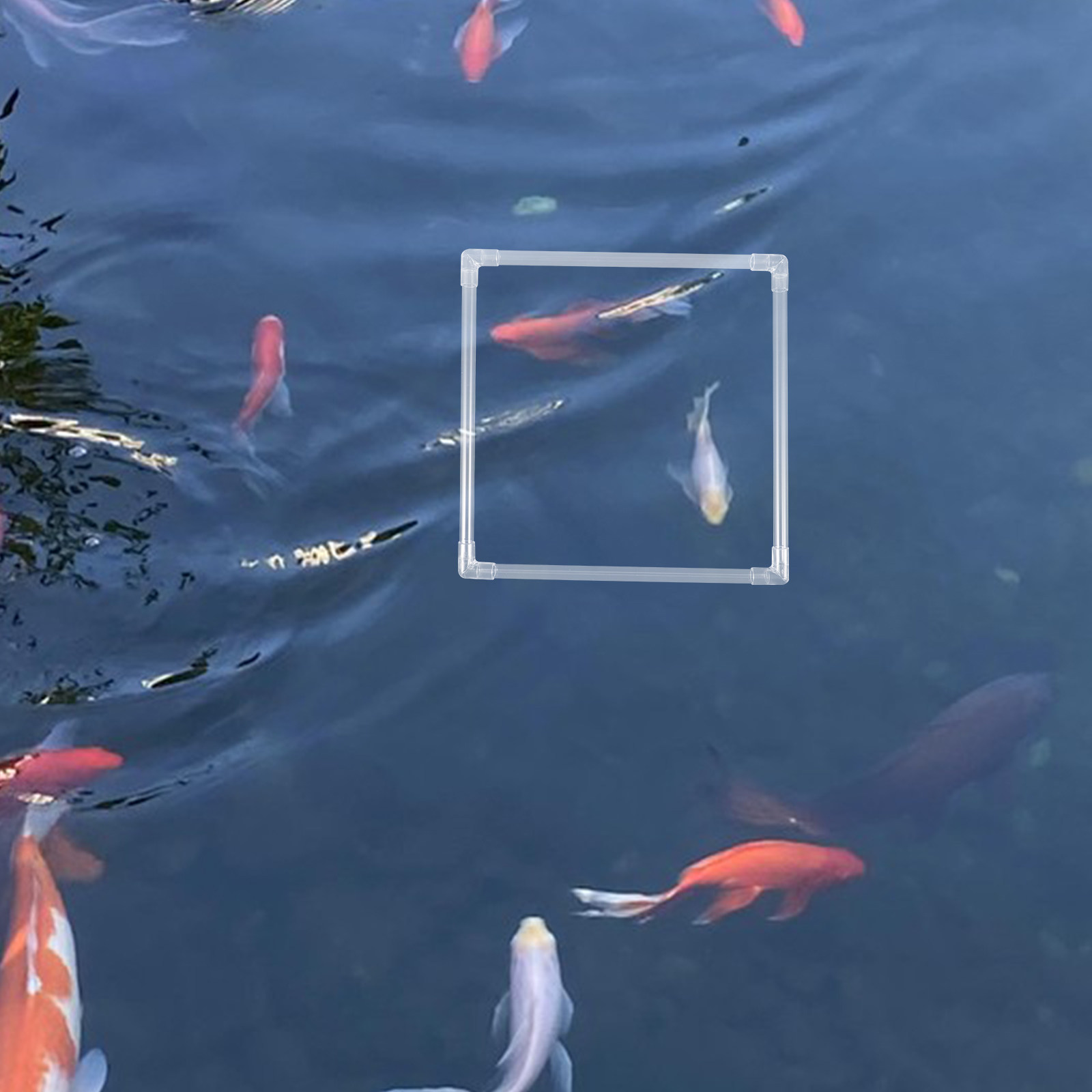 1세트 수족관 부유식 식물 링 탱크 오리풀 제거 링 물 - Planted Aquarium Materials 리뷰 및 가격