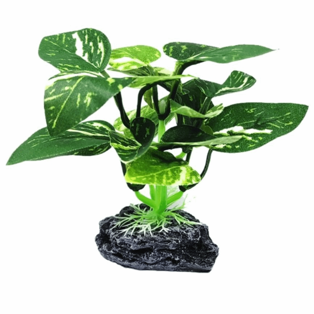 플라스틱 소재 수족관 식물 사실적인 디자인 안전한 소재 - Planted Aquarium Materials 리뷰 및 가격