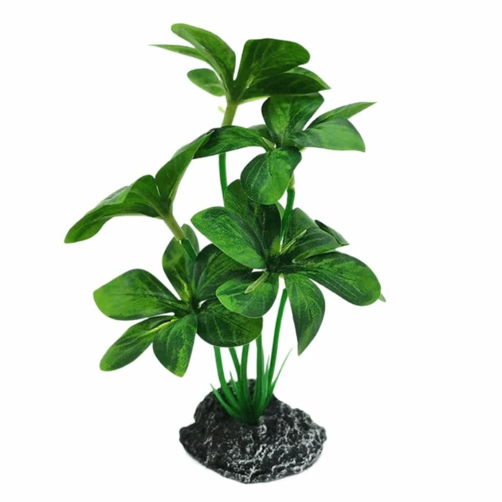 플라스틱 소재 수족관 식물 사실적인 디자인 안전한 소재 - Planted Aquarium Materials 리뷰 및 가격