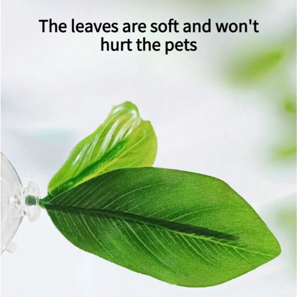 1개입 녹색 잎사귀 베타 물고기 해먹 스트레스 감소 수 - Planted Aquarium Betta 리뷰 및 가격