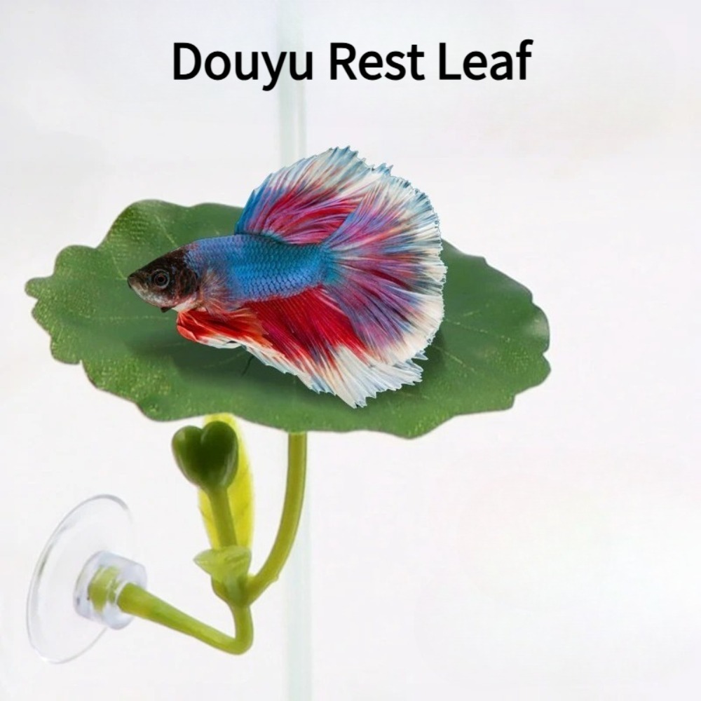 1개입 녹색 잎사귀 베타 물고기 해먹 스트레스 감소 수 - Planted Aquarium Betta 리뷰 및 가격