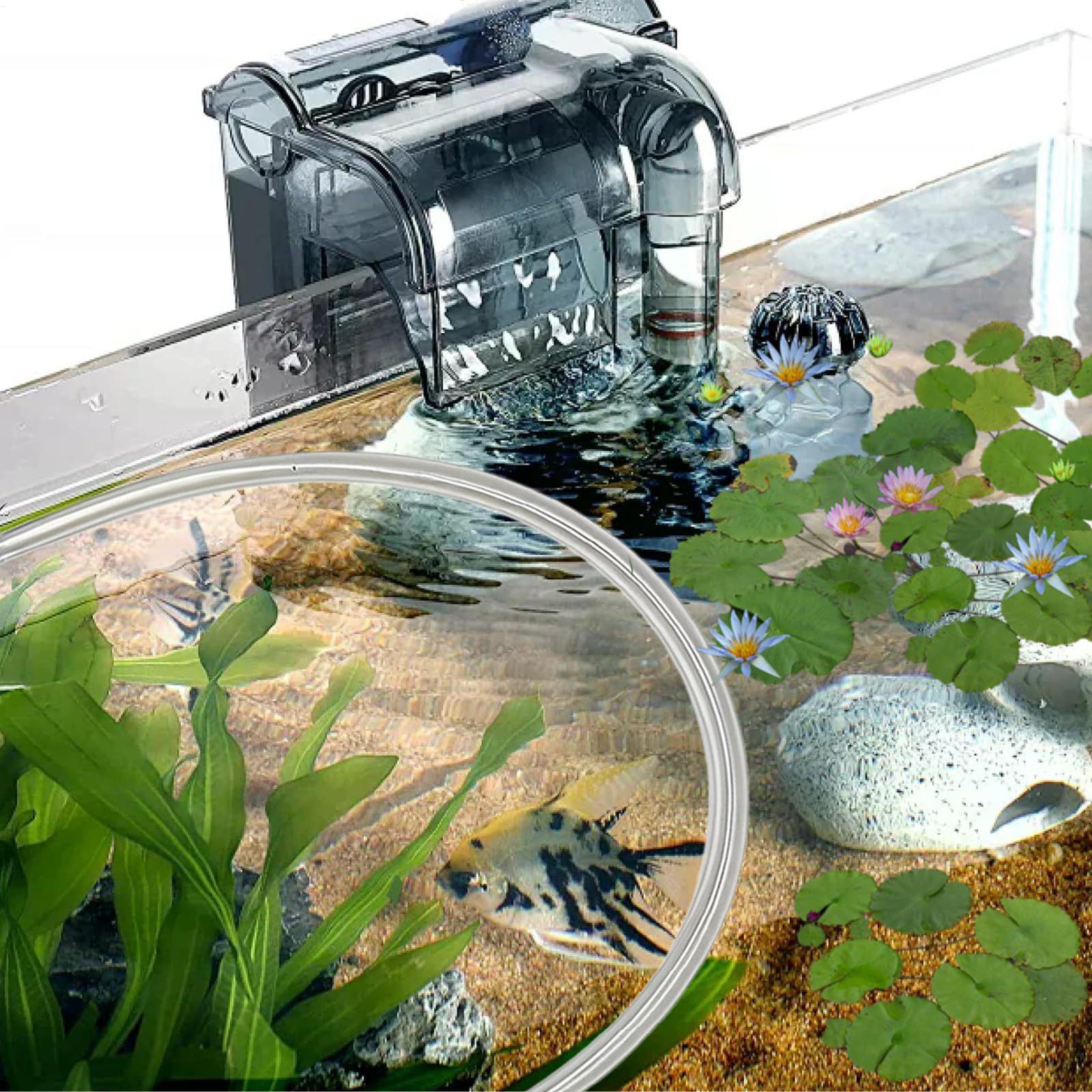 수족관 부유식 식물 차단막 자동 높이 조절식 부유식 식 - Planted Aquarium Betta 리뷰 및 가격
