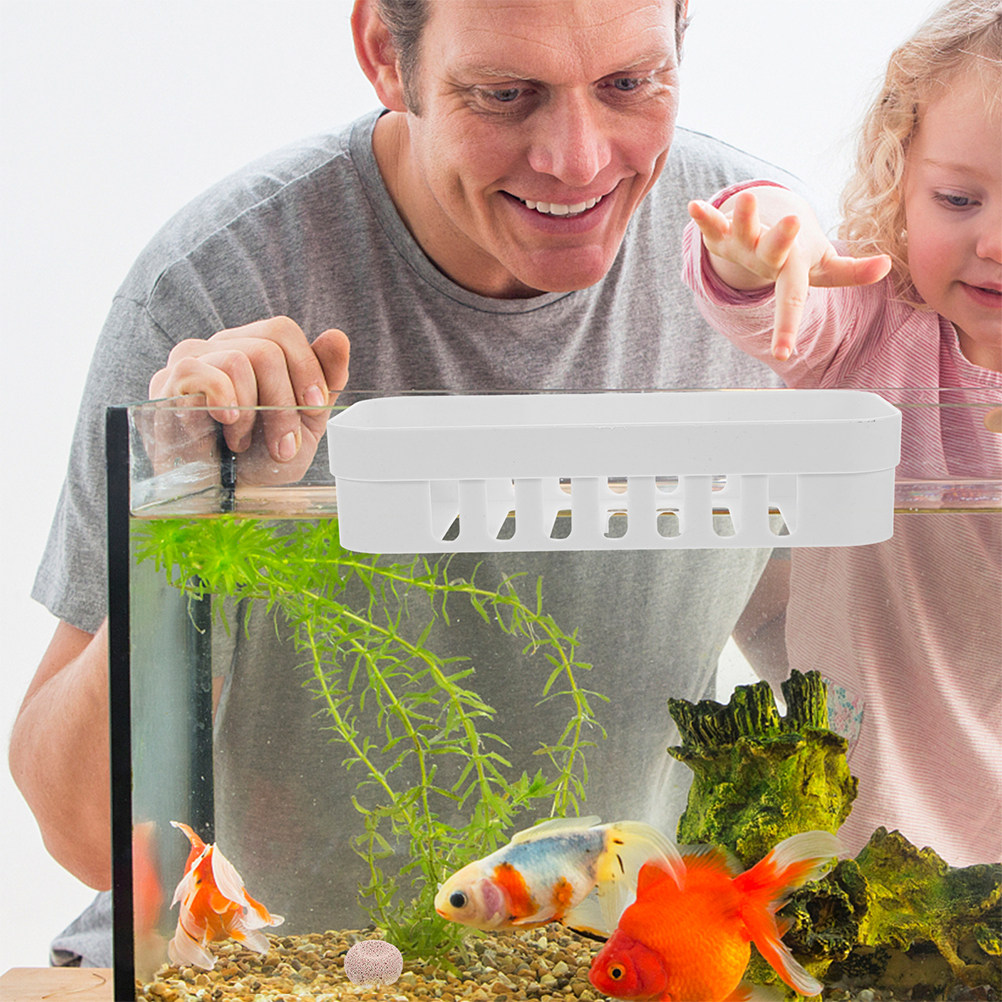 2개입 수족관 식물 홀더, 물고기 탱크 장식용 구멍 뚫 - Live Plant Aquarium Set Up 리뷰 및 가격