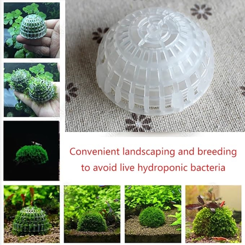 2pc 수족관 이끼 공 홀더, 물고기 탱크 DIY 이끼 - Planted Aquarium Models 리뷰 및 가격