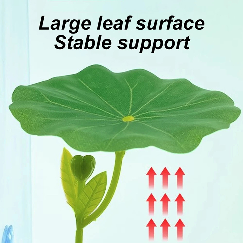 베타 물고기용 스트레스 감소 장치, 수족관 안전 장식품 - Planted Aquarium Betta 리뷰 및 가격