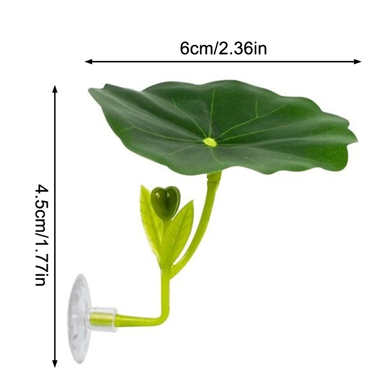 베타 물고기용 스트레스 감소 장치, 수족관 안전 장식품 - Planted Aquarium Betta 리뷰 및 가격